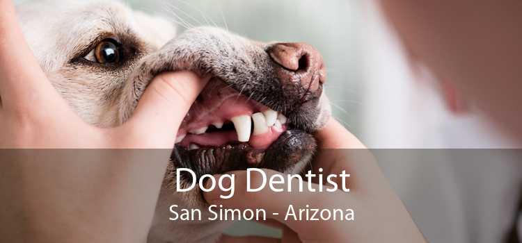 Dog Dentist San Simon - Arizona