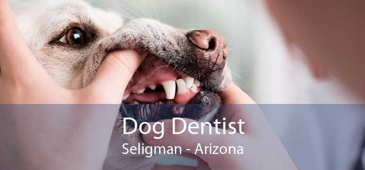 Dog Dentist Seligman - Arizona