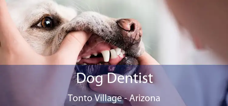 Dog Dentist Tonto Village - Arizona