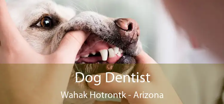 Dog Dentist Wahak Hotrontk - Arizona