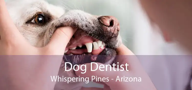 Dog Dentist Whispering Pines - Arizona