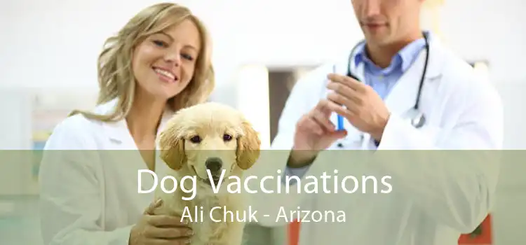 Dog Vaccinations Ali Chuk - Arizona