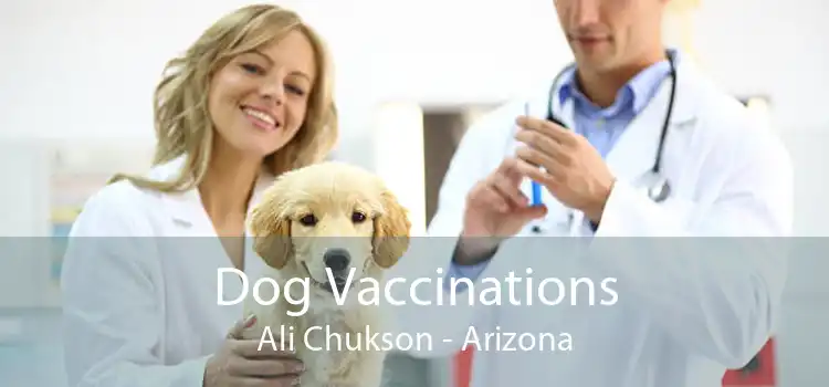Dog Vaccinations Ali Chukson - Arizona