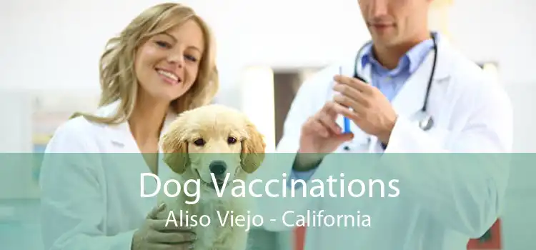 Dog Vaccinations Aliso Viejo - California