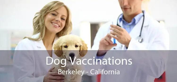 Dog Vaccinations Berkeley - California