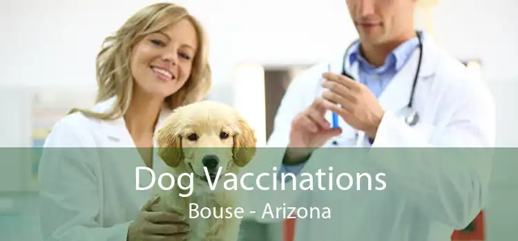 Dog Vaccinations Bouse - Arizona