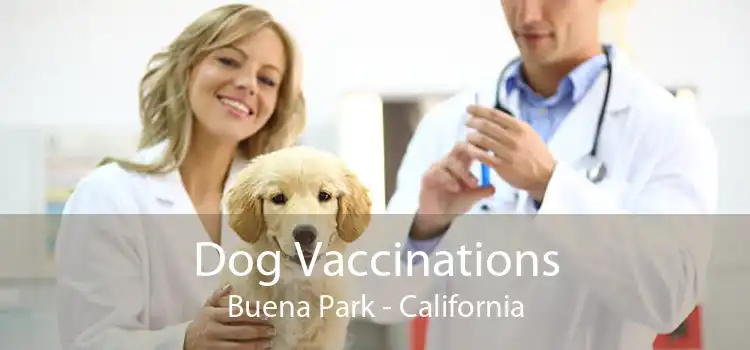 Dog Vaccinations Buena Park - California