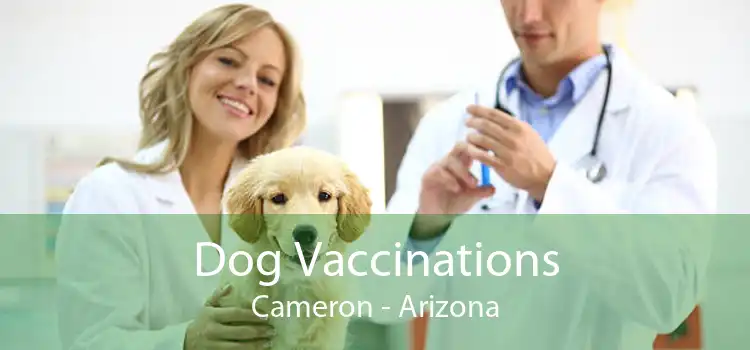 Dog Vaccinations Cameron - Arizona