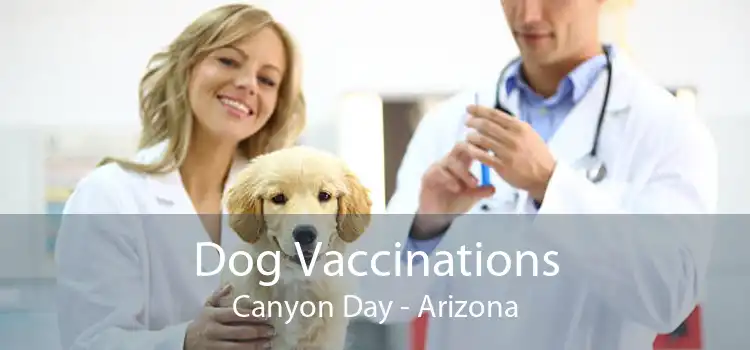 Dog Vaccinations Canyon Day - Arizona