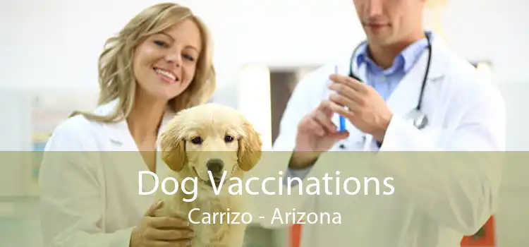 Dog Vaccinations Carrizo - Arizona