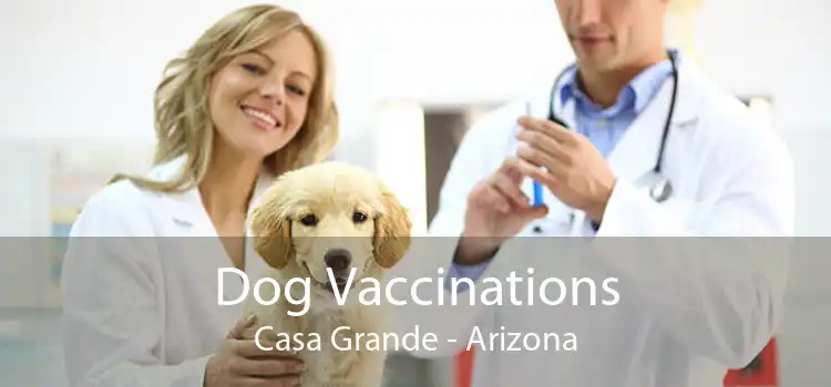 Dog Vaccinations Casa Grande - Arizona