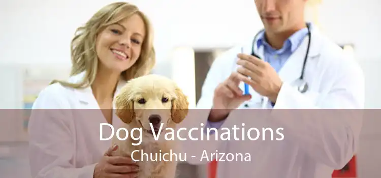 Dog Vaccinations Chuichu - Arizona