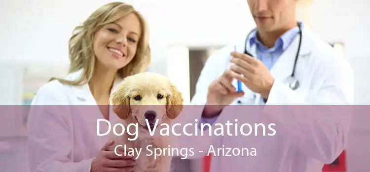 Dog Vaccinations Clay Springs - Arizona