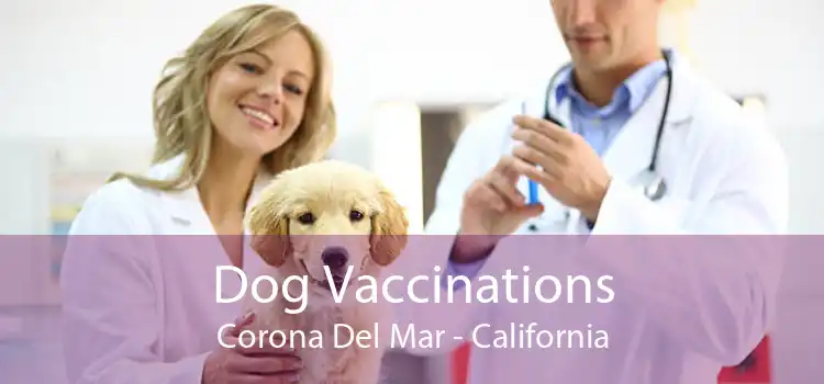 Dog Vaccinations Corona Del Mar - California