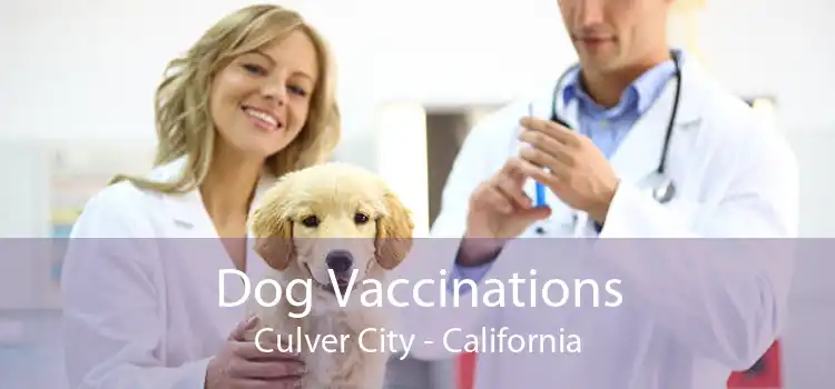 Dog Vaccinations Culver City - California