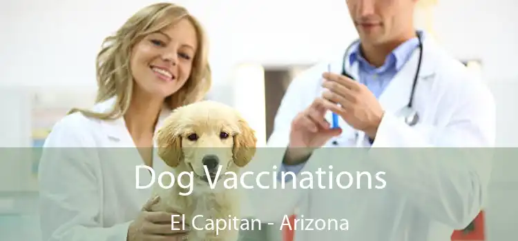 Dog Vaccinations El Capitan - Arizona