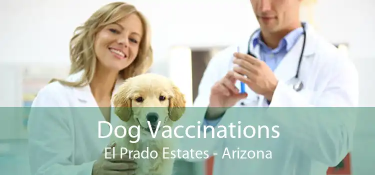 Dog Vaccinations El Prado Estates - Arizona
