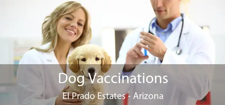 Dog Vaccinations El Prado Estates - Arizona