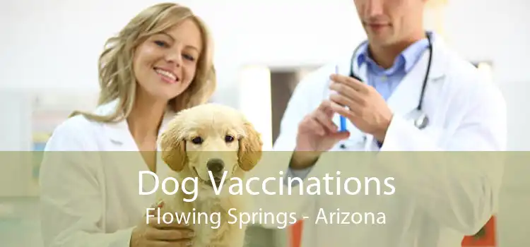 Dog Vaccinations Flowing Springs - Arizona