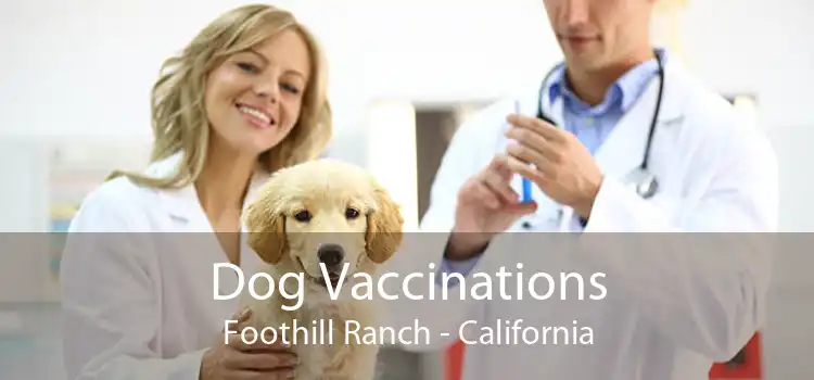 Dog Vaccinations Foothill Ranch - California