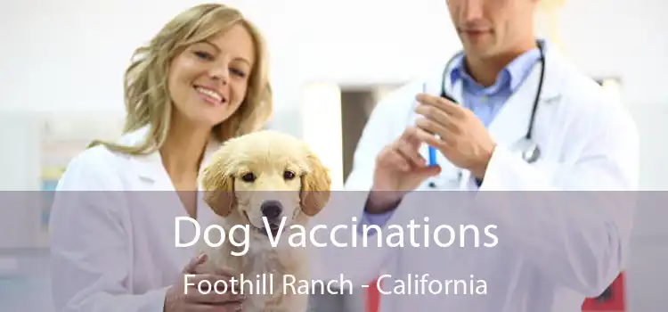 Dog Vaccinations Foothill Ranch - California