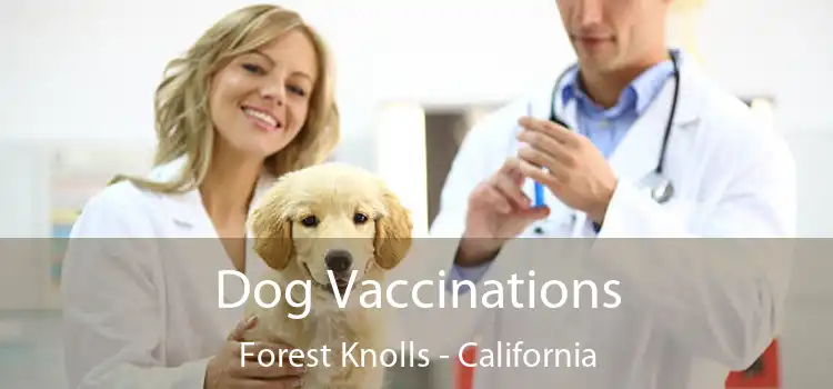 Dog Vaccinations Forest Knolls - California