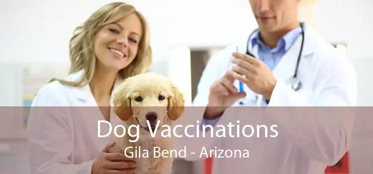 Dog Vaccinations Gila Bend - Arizona