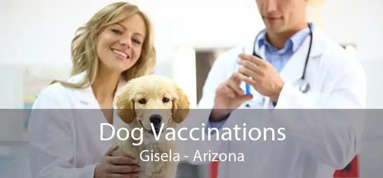 Dog Vaccinations Gisela - Arizona