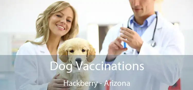 Dog Vaccinations Hackberry - Arizona