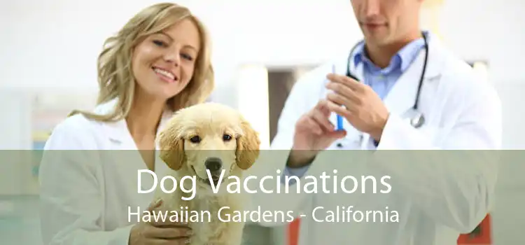 Dog Vaccinations Hawaiian Gardens - California