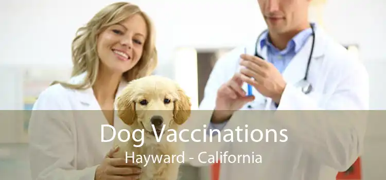 Dog Vaccinations Hayward - California