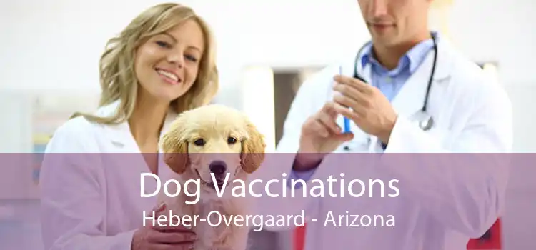 Dog Vaccinations Heber-Overgaard - Arizona