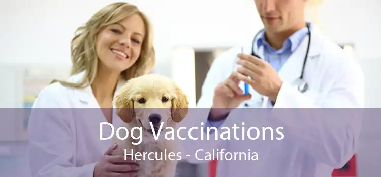 Dog Vaccinations Hercules - California