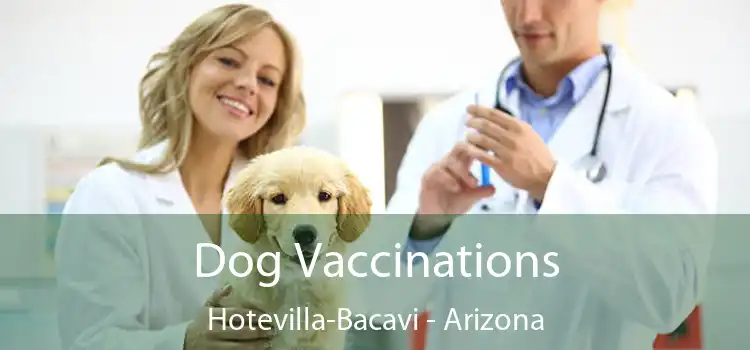 Dog Vaccinations Hotevilla-Bacavi - Arizona