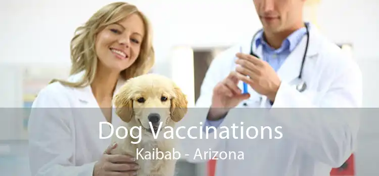 Dog Vaccinations Kaibab - Arizona