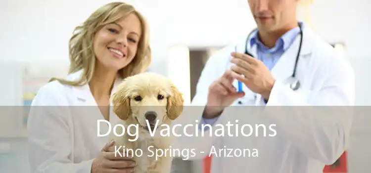 Dog Vaccinations Kino Springs - Arizona