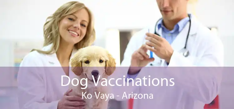 Dog Vaccinations Ko Vaya - Arizona