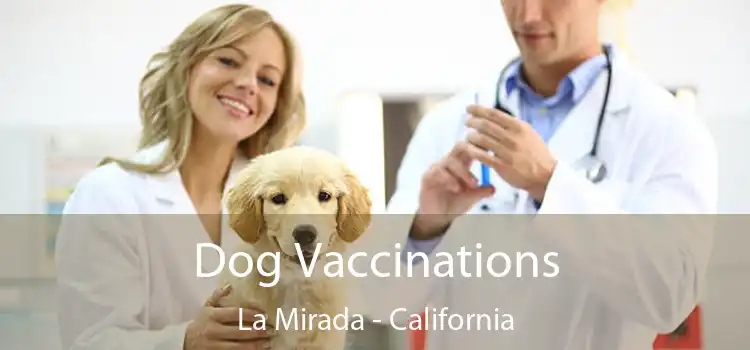 Dog Vaccinations La Mirada - California