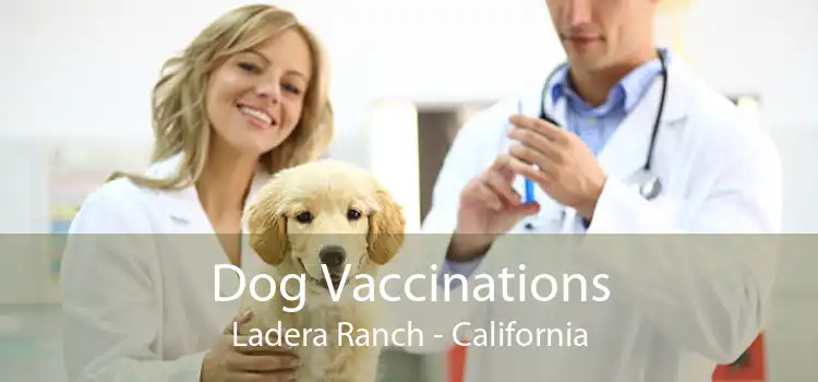 Dog Vaccinations Ladera Ranch - California