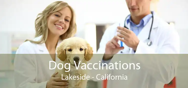 Dog Vaccinations Lakeside - California