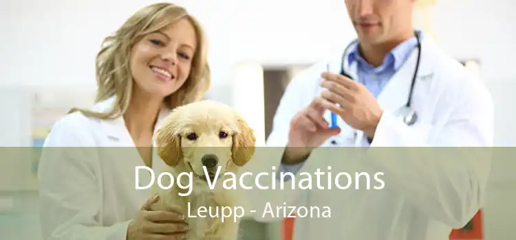 Dog Vaccinations Leupp - Arizona