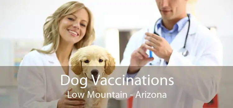 Dog Vaccinations Low Mountain - Arizona