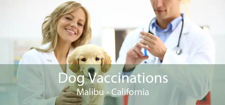 Dog Vaccinations Malibu - California
