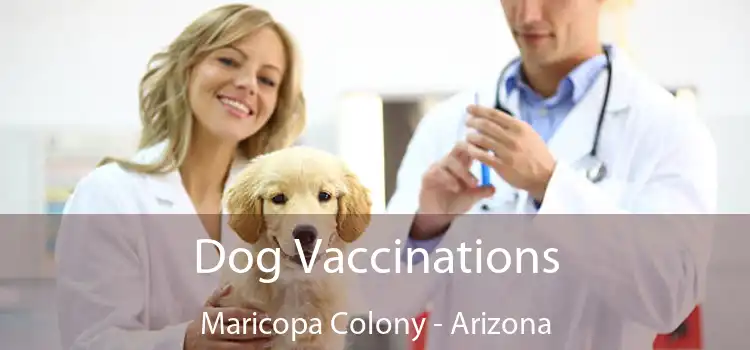Dog Vaccinations Maricopa Colony - Arizona
