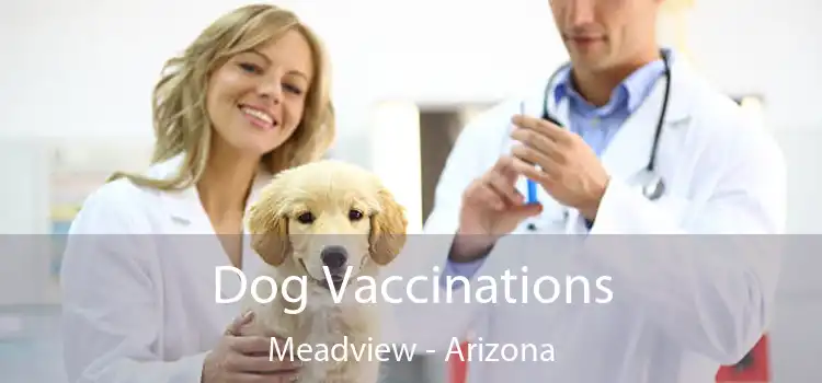 Dog Vaccinations Meadview - Arizona