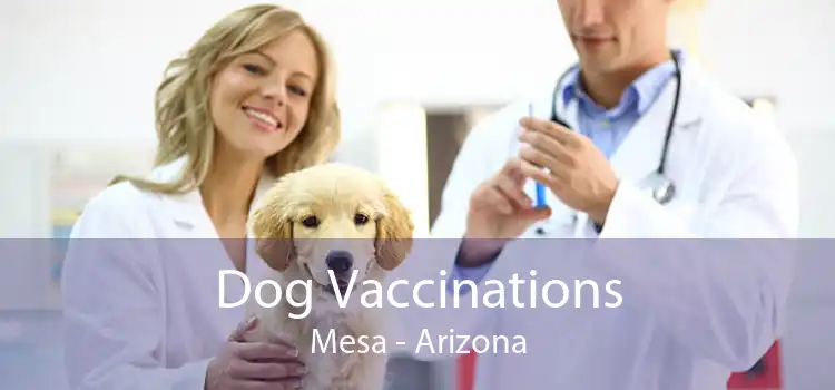 Dog Vaccinations Mesa - Arizona