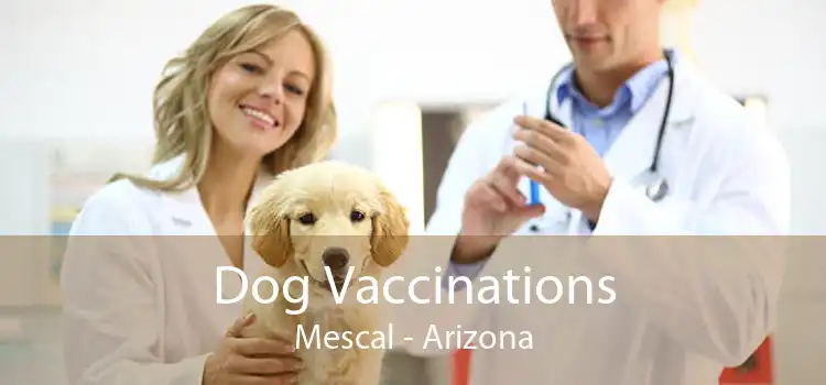 Dog Vaccinations Mescal - Arizona