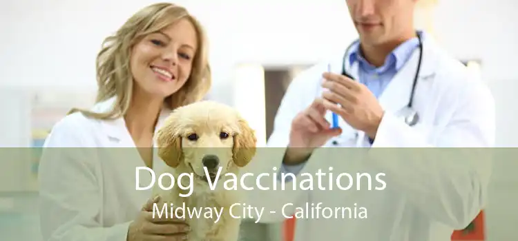Dog Vaccinations Midway City - California