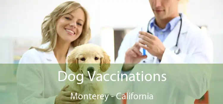 Dog Vaccinations Monterey - California