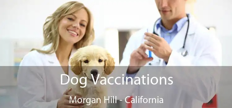 Dog Vaccinations Morgan Hill - California